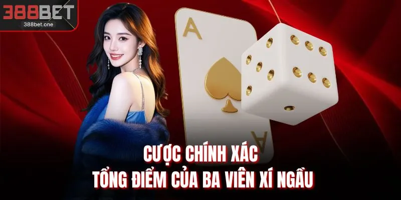 Cược chính xác tổng điểm của ba viên xí ngầu