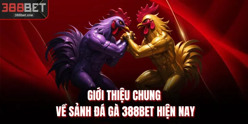 Giới thiệu chung về sảnh đá gà 388BET hiện nay